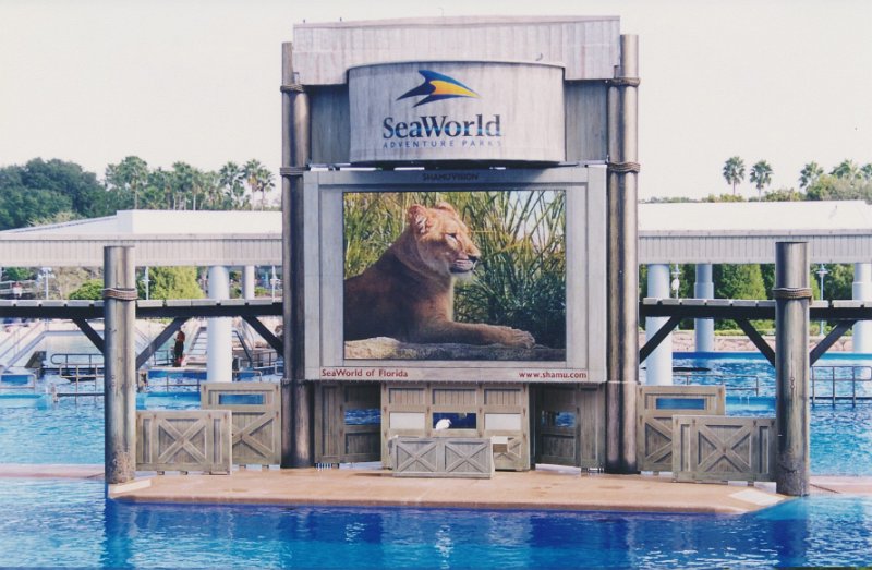 016-The killer whale show.jpg
